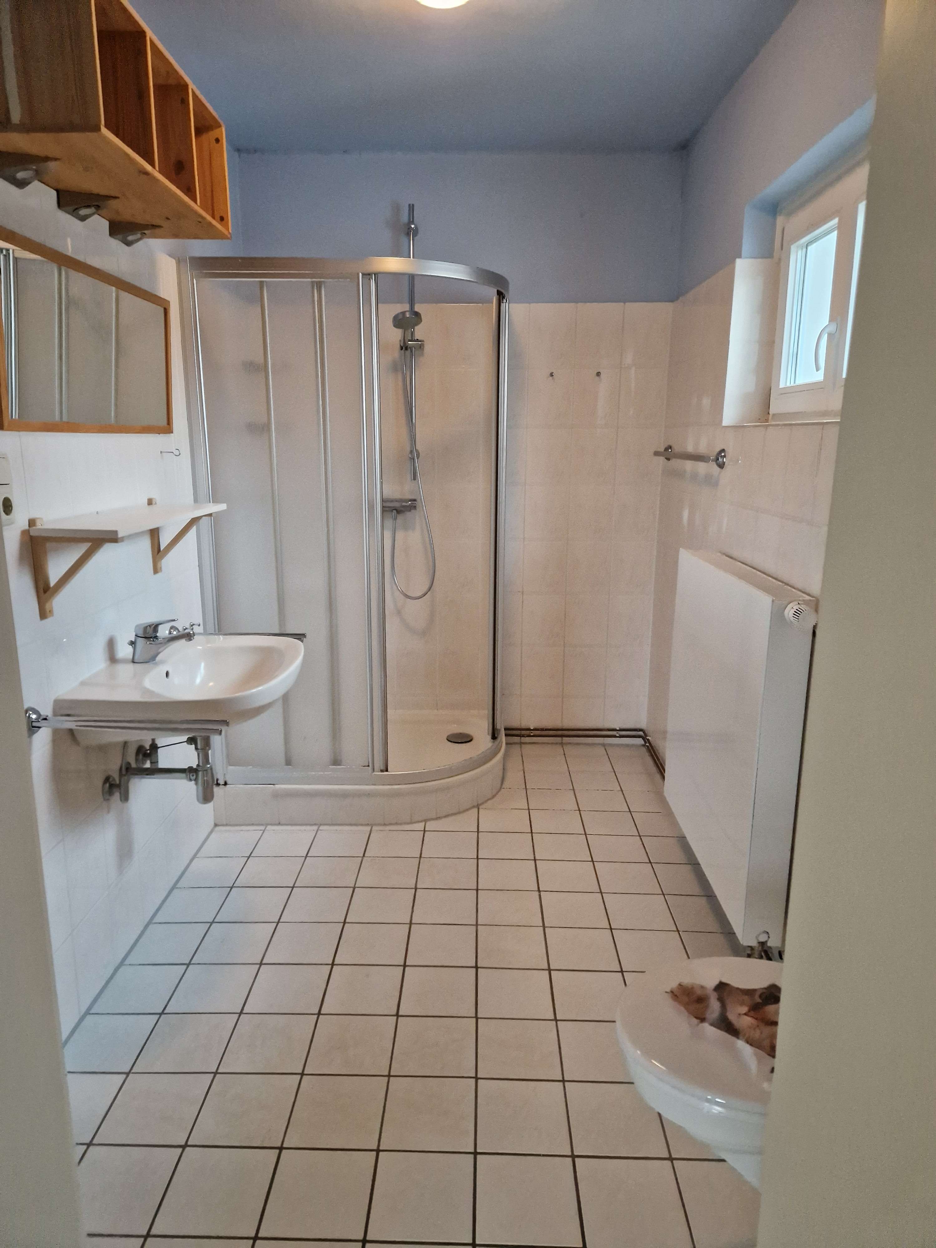 Immobilie in Hambühren - Hambühren! =BESTANDSIMMOBILIE=1 Fam.-Haus-Bungalow! =NEUBAUPROJEKT= vier-1-Fam.-Doppelhaushälften! - Bild 1