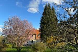 Saniertes Haus mit großer Garage und 5.726 m² Grundstück am Waldrand im Wartburgkreis – Wartburgkreis – Vorschaubild 20