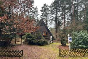 Kleines Nurdachhaus in idyllischer Waldlage bei Jelmstorf! – Die vollständige Adresse der Immobilie erhältst du vom Anbieter., 29585 Jelmstorf – Vorschaubild 4