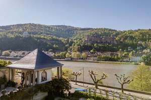 Schlossvilla am Philosophenhügel in Heidelberg – Die vollständige Adresse der Immobilie erhältst du vom Anbieter., 69120 Neuenheim, Heidelberg – Vorschaubild 9