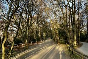 Property thumbnail 17