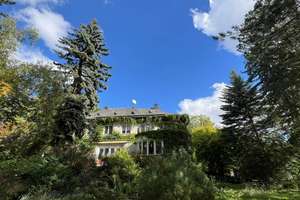 Halle-Innenstadt: Originale Villa zum Sanieren, für 1 bis 3 Familien, großes Park-Naturgrundst – Ratswerder 8, 6110 Südliche Innenstadt, Halle (Saale) – Vorschaubild 4