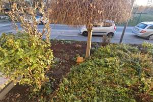 Gepflegtes Reihenendhaus mit großem Garten, ruhige Wohnstr. am Feldrand, 5 Schlafzimmer,  – 44269 Benninghofen, Dortmund – Vorschaubild 3