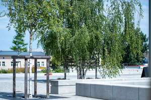 107 neue Mietwohnungen inkl. Einbauküche / H3-00-01 | 3-Zi. I | EG | Terrasse mit Westausrichtung – Max-Planck-Straße 14, 14473 Südliche Innenstadt, Potsdam – Vorschaubild 47