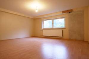 Seltene Gelegenheit: Bungalow mit großem Grundstück & Neubaupotenzial in Bretzenheim – Die vollständige Adresse der Immobilie erhältst du vom Anbieter., 55128 Bretzenheim, Mainz – Vorschaubild 13