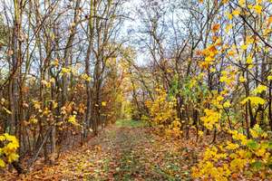 Property thumbnail 36