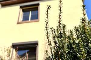 Anbau möglich! Sanierungsbedürftiges Reihenhaus mit Garten in ruhiger Lage! – Dresden – Vorschaubild 1