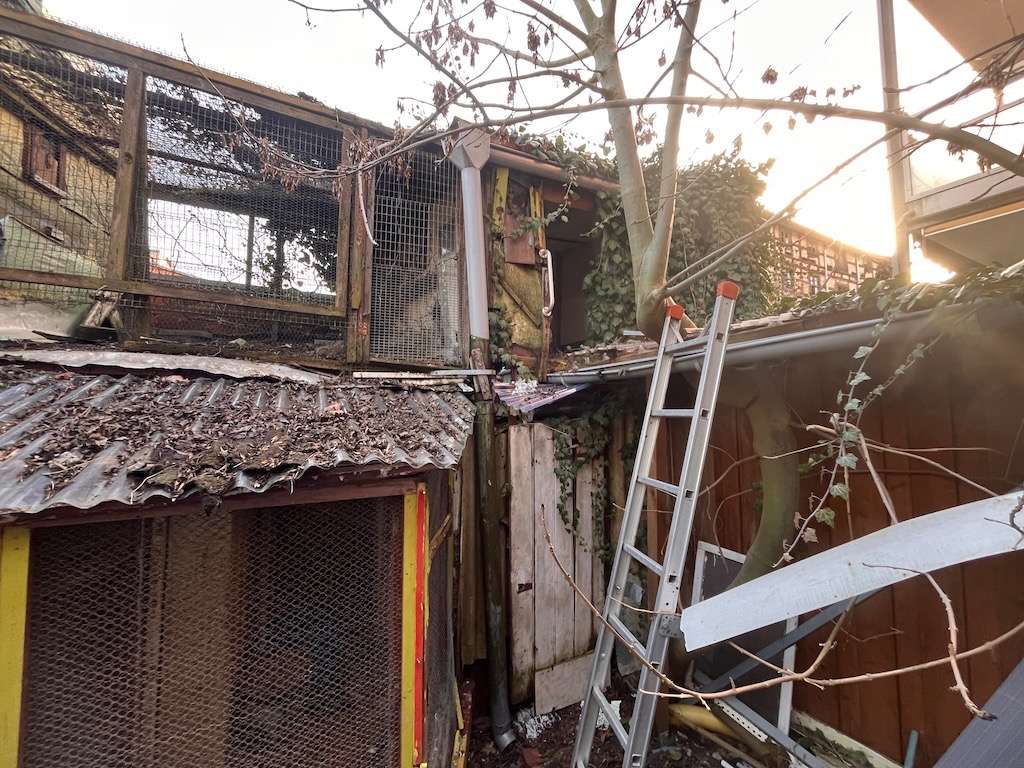 Immobilie in Wittstock/Dosse - Historisches Haus zur Sanierung und Gestaltung - Bild 4