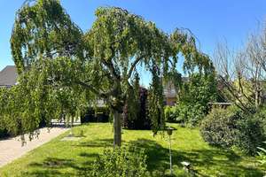 Einfamilienhaus mit großem sonnigen Grundstück und Anbaupotential – Mümmelmannweg 26, 22844 Norderstedt – Vorschaubild 7