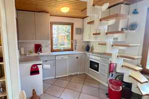 Ganzjährig zu nutzendes Erholungsgrundstück inklusive Kleinhaus mit Heizung und Sauna in Prenden – Barnim (Kreis) – Vorschaubild 6