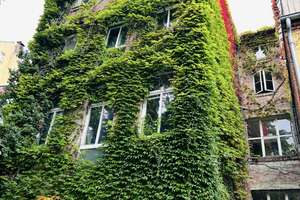2 Zimmer Wohnung Nähe Maschsee – 30169 Südstadt, Hannover – Vorschaubild 1