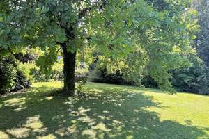 Traumhaftes Grundstück mit außergewöhnlichem Haus! Ehemalige Unternehmervilla mit Park in Wars – Die vollständige Adresse der Immobilie erhältst du vom Anbieter., 59581 Warstein – Vorschaubild 9