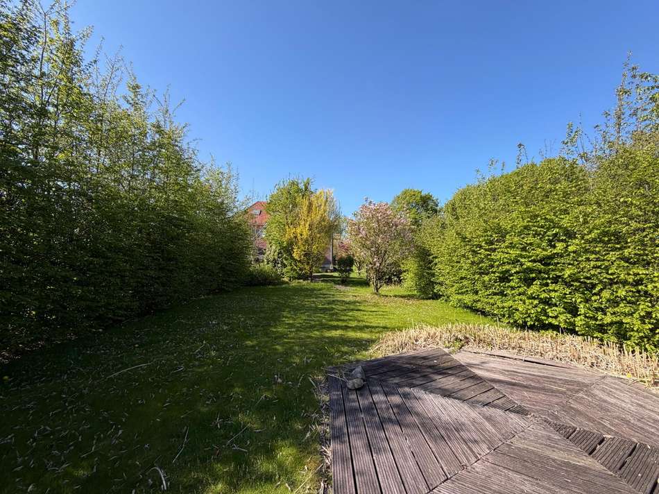 Blick in den Garten