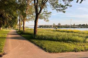 Hausgefühl auf zwei Etagen - Wohnen direkt am Rhein / Kapitalanlage 5% Rendite – Friedenstraße 22, 77694 Kehl – Vorschaubild 8