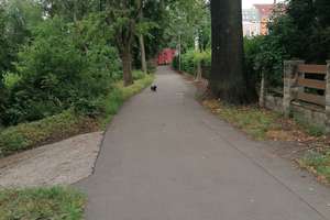 Viel Platz in Friedrichshagen: Einfamilienhaus mit 150 Quadratmetern – Wiesenpromenade 5, 12587 Friedrichshagen, Berlin – Vorschaubild 5