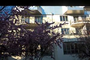Hübsche 2-Zimmer-Wohnung mit Blick ins Grüne – Die vollständige Adresse der Immobilie erhältst du vom Anbieter., 80333 Augustenstraße, München – Vorschaubild 1