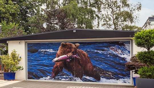 Bild von CATCH OF THE DAY...!