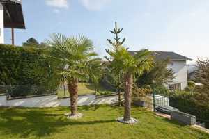 Much - Oberdreisbach Höhe:  Urlaubsfeeling im eigenen Zuhause ! – Rhein-Sieg-Kreis – Vorschaubild 7