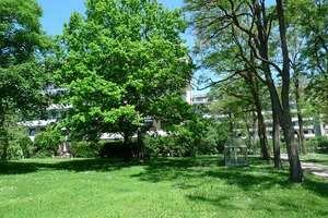Preiswerte 2-Zi-Wohnung mit Raumreserve, Loggia und TG-Stellplatz in Hadern – Stiftsbogen 142, 81375 Neuhadern, München – Vorschaubild 2