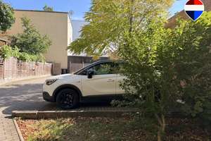 Gepflegte 2-Zimmer-Wohnung – vermietet & barrierearm in Halle (Saale) – 6108 Nördliche Innenstadt, Halle (Saale) – Vorschaubild 7