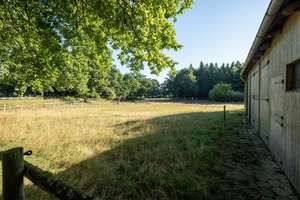 8-Zimmer Liegenschaft mit Stall und Weide – Die vollständige Adresse der Immobilie erhältst du vom Anbieter., 21244 Buchholz in der Nordheide – Vorschaubild 37