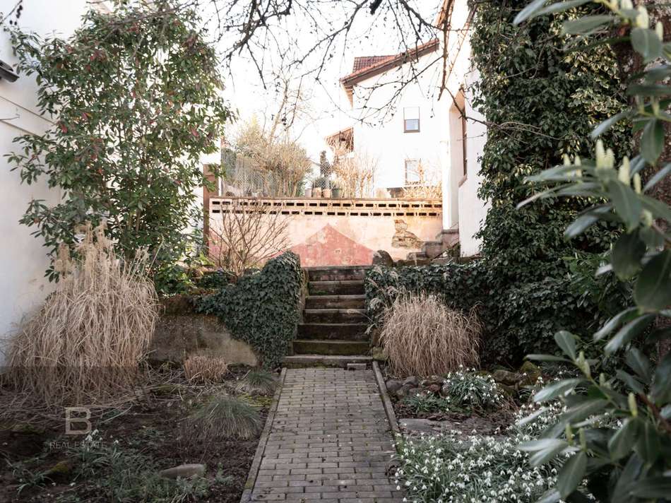 Blick aus dem Garten