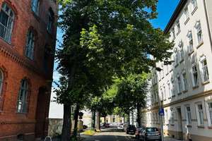 wunderschöne, sehr gepflegte 2-Zi-Altbau-Wohnung,  gut vermietet - in Magdeburg,  WE28 – 39112 Sudenburg, Magdeburg – Vorschaubild 7