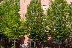Wohnung mit Parkett und Balkon - großer grüner Innenhof - Einbauküche möglich – Further Straße 16, 9113 Chemnitz – Vorschaubild 1