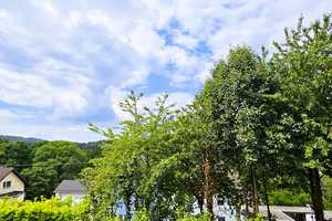Weiter Blick ins grüne Lauterbachtal in Königsw.-H´Rott  , freist. EFH Bj. 2001 auf 518 m² Grundst. – Rhein-Sieg-Kreis – Vorschaubild 20