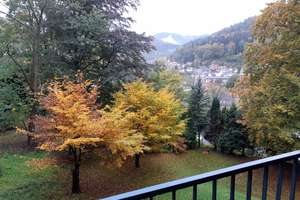 1-Zimmer-Wohnung in Bad Herrenalb mit Balkon und wunderbarem Ausblick – Die vollständige Adresse der Immobilie erhältst du vom Anbieter., 76332 Bad Herrenalb – Vorschaubild 5