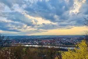 Property thumbnail 16