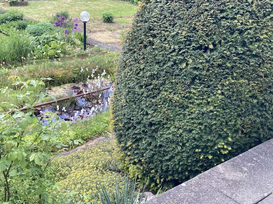 Garten