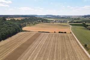 Ländlicher 3-Seiten-Hof zur Sanierung – Wohnhaus, Hofareal, Stallungen und 5.000 m² Wald! – Neustadt a.d. Aisch-Bad Windsheim (Kreis) – Vorschaubild 37