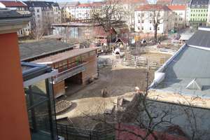 Idylle in der Dresdner Neustadt – Kamenzer Straße 23, 1099 Äußere Neustadt, Dresden – Vorschaubild 12