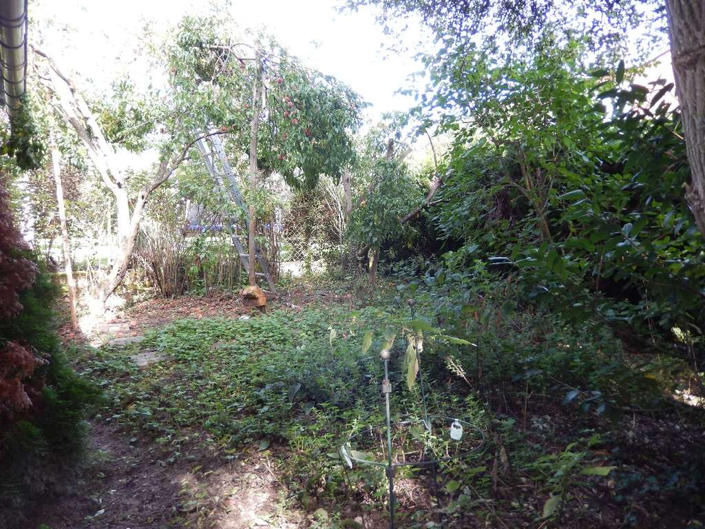 Immobilie in Minfeld - Ehemaliges Landwirtschaftsanwesen in ruhiger Ortslage, baubiologisch und energetisch renoviert. - Bild 4