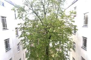 Schönes Studio-Apartment im Rixdorfer Kiez in ruhiger Seitenstraße – Die vollständige Adresse der Immobilie erhältst du vom Anbieter., 12043 Neukölln (Ortsteil), Berlin – Vorschaubild 7