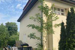 Wohnensemble für soziale Träger und betreute Wohnkonzepte – 29 Zimmer – Die vollständige Adresse der Immobilie erhältst du vom Anbieter., 12305 Lichtenrade, Berlin – Vorschaubild 2