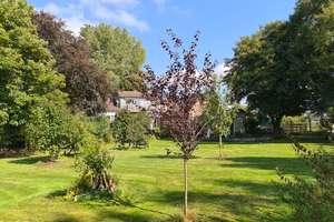 Wohnhaus mit Einliegerwohnung und viel Nutzfläche auf 3.300 m² / Gemeinde Jade – Die vollständige Adresse der Immobilie erhältst du vom Anbieter., 26349 Jade – Vorschaubild 3