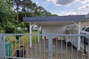 Gepflegtes Einfamilienhaus mit großem Garten und EBK in Zeuthen, Zeuthen – An der Korsopromenade 46, 15738 Zeuthen – Vorschaubild 4