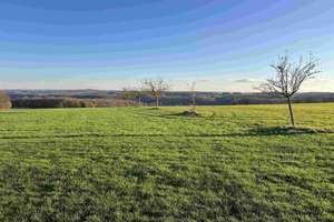 Natur Pur! Modernes Wohnen mit unverbaubarem Blick ins Grüne – Die vollständige Adresse der Immobilie erhältst du vom Anbieter., 56818 Klotten – Vorschaubild 29