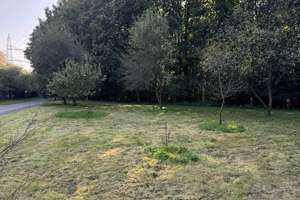Gladbeck: Charmanter Hof mit vielen Nutzungsmöglichkeiten – Die vollständige Adresse der Immobilie erhältst du vom Anbieter., 45966 Gladbeck – Vorschaubild 29