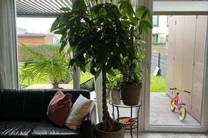 Reihenendhaus mit großem Garten – Die vollständige Adresse der Immobilie erhältst du vom Anbieter., 67433 Kernstadt, Neustadt an der Weinstraße – Vorschaubild 11