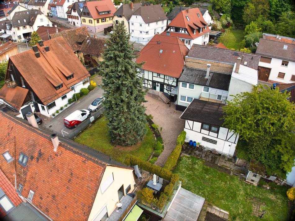 estateImage2699732331737756380