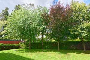 Exklusive 5-Zimmer-Wohnung mit 510 m² Privatgarten am Englischen Garten – Die vollständige Adresse der Immobilie erhältst du vom Anbieter., 80939 Obere Isarau, München – Vorschaubild 2