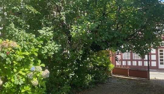 Bild von Gebäude-Ensemble in historischer Altstadt von Dreieichenhain!