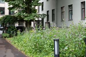 Hammer: 292 m² Traum am Tempelhofer Ufer in Kreuzberg. Hochattraktiver Preis, sehr vielseitig. – Tempelhofer Ufer 36, 10963 Kreuzberg, Berlin – Vorschaubild 17