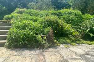 Besondere Immobilie aus zwei Häusern mit großem Garten im grünen Herzen 0bersontheims – Gaildorfer Straße 17, 74423 Schwäbisch Hall (Kreis) – Vorschaubild 24