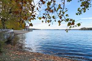 Property thumbnail 18