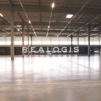 NEUBAU: ca. 15.000 qm Lager- / Logistikfläche | Rampe + ebenerdig | ca. 10,50 m UKB