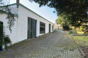 Einzigartiges Grundstück ... Einfamilienhaus mit Hallen auf einem parkähnlichem Grundstück – Miltenberg (Kreis) – Vorschaubild 20